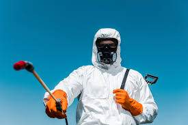 Best Fumigation Services  in Boston, MA